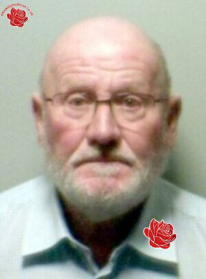 Profile image of David King
