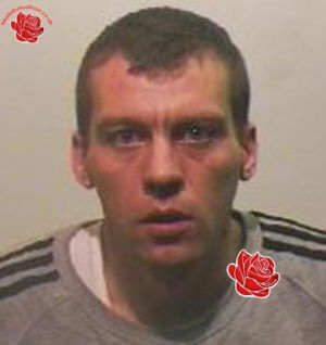 Profile image of Steven Moses