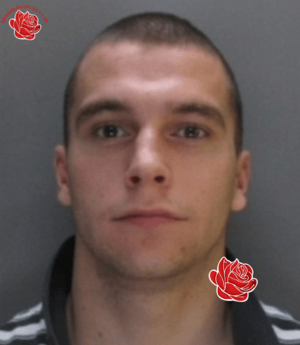 Profile image of David Edgerton
