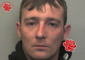 Profile image of Jason Radford