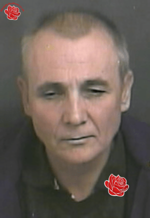 Profile image of David Fitzmaurice