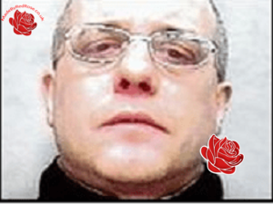 Profile image of Stephen Mellors