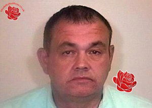 Profile image of David Falkiner