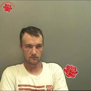 Profile image of Jason Walton