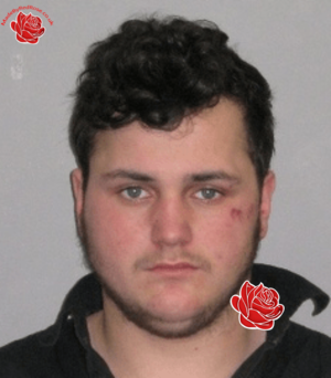 Profile image of Hopey Taylor