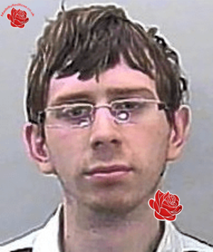 Profile image of Stephen Gowers
