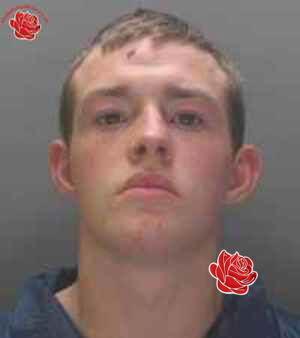 Profile image of Adam Lewis