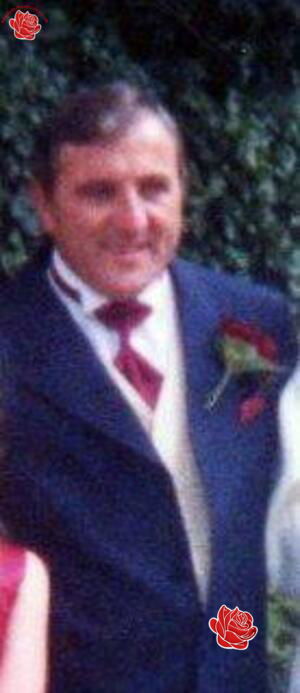 Profile image of Stephen Butler/Edward Whitfield