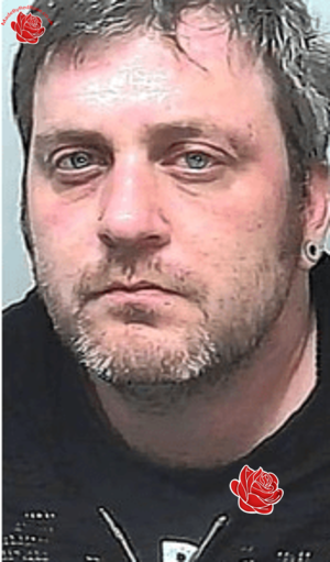Profile image of Wayne Minns