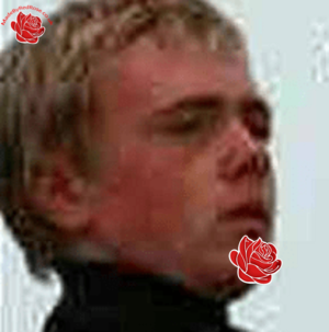 Profile image of Stuart Parry