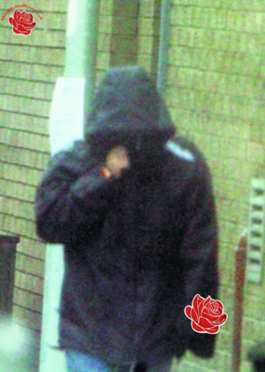 Profile image of Steven McGeown