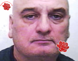 Profile image of Paul Tyler