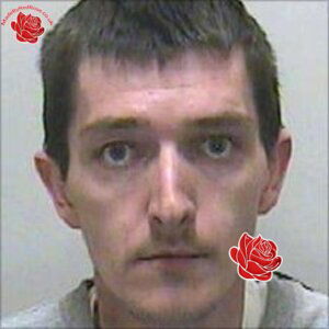 Profile image of Michael Wicks