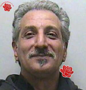 Profile image of Hossein Sabourian
