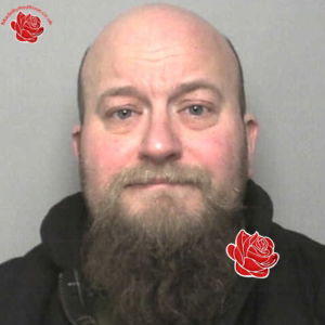 Profile image of David Ward