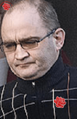 Profile image of Stevie Farrell