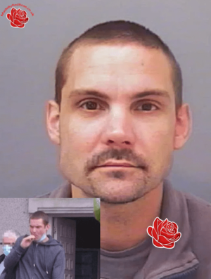 Profile image of Michael Brooke