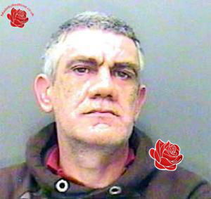 Profile image of Craig Tillotson