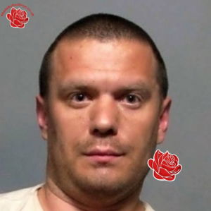 Profile image of Rhys Goodwin