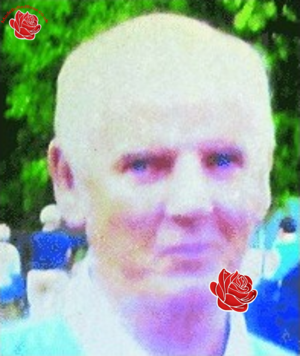 Profile image of David Whieldon