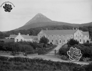 Profile image of John McKenna