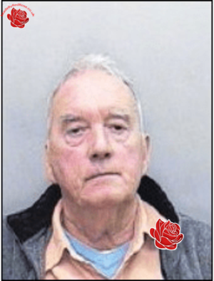 Profile image of Robin Pitts