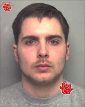 Profile image of Fabian Thomas
