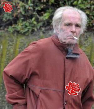 Profile image of David Chamberlin