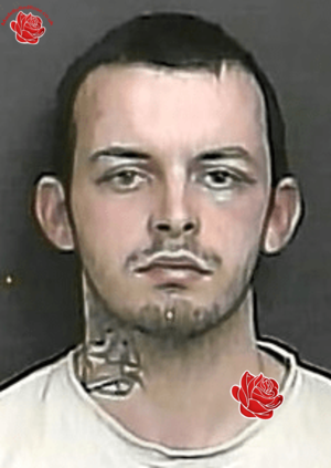 Profile image of Daniel Sullivan