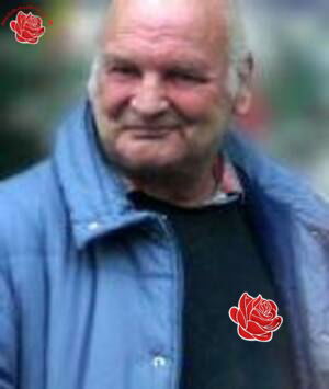 Profile image of Klaus Hansell