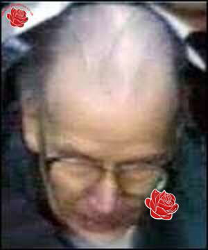 Profile image of David Murphy