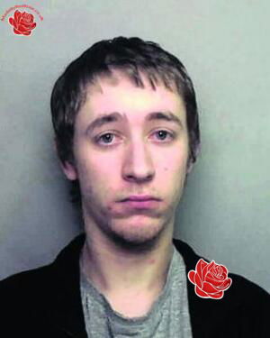 Profile image of Stephen Walker