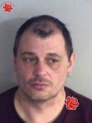 Profile image of Glyn Thomas