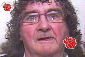 Profile image of Stephen Dawson