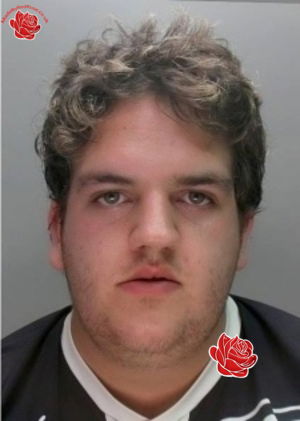 Profile image of David Twist