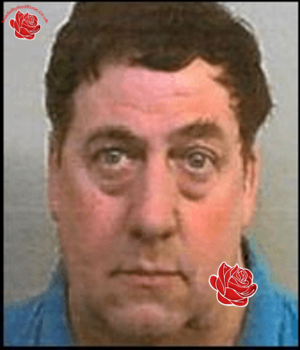 Profile image of Nigel Cook
