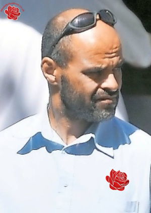 Profile image of Ian Reynolds