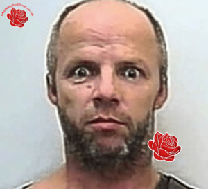Profile image of David Soady