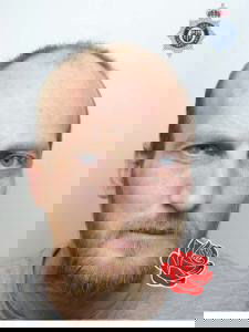 Profile image of John Whitfield