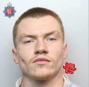 Profile image of David Stewart