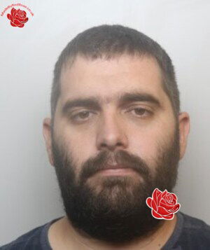 Profile image of Jason Newman
