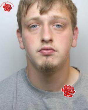 Profile image of Calum Stephenson