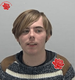 Profile image of Joshua Davies