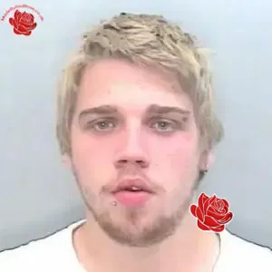 Profile image of Lewis Stewart