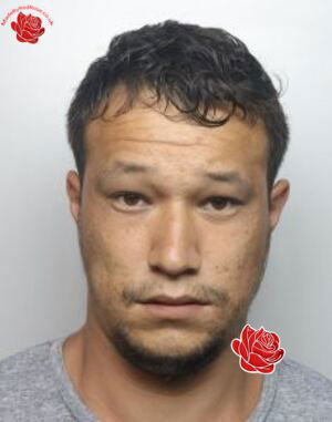 Profile image of Bradley Dixon