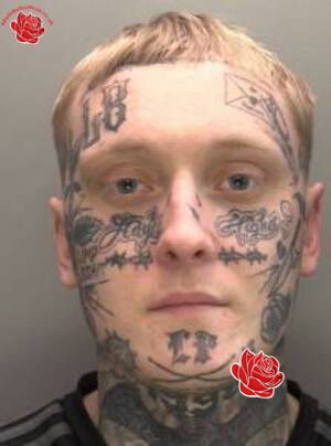 Profile image of Toby Dawson