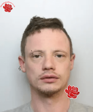 Profile image of Wayne Leigh