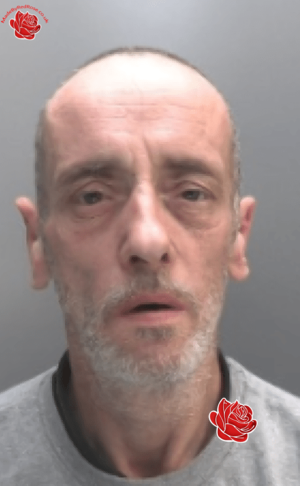 Profile image of David Shaw