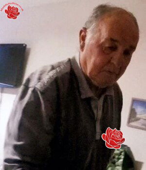 Profile image of Peter Holmes