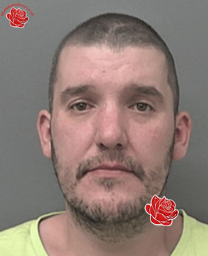 Profile image of Jonathan Barnes